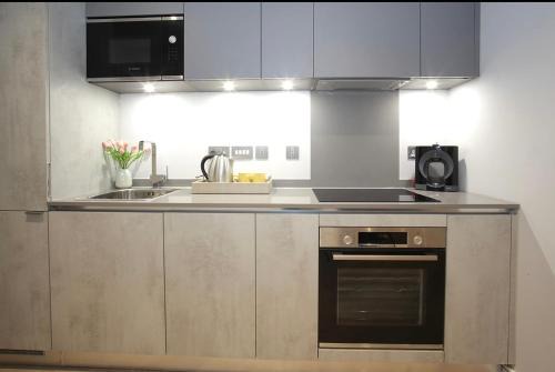 Luton Apartamento | One-bedroom manitri apartment