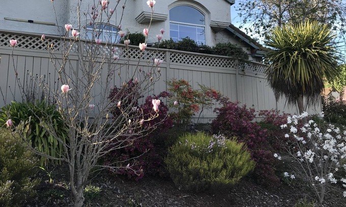 Petaluma Casa | One level house near hiking trails