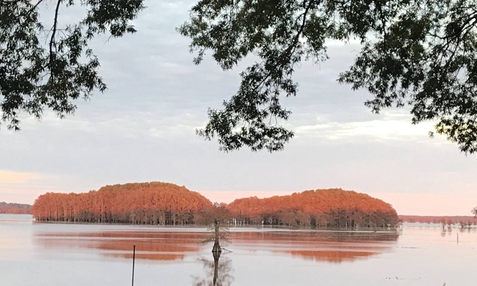 Karnack Casa | Único retiro de Caddo Lake con vistas espectaculares de la costa