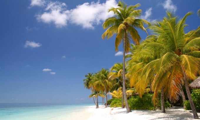 Key Colony Beach Condominio | Una de las mejores playas privadas en los Estados Unidos! Gran ubicación para actividades de ocio-Wifi