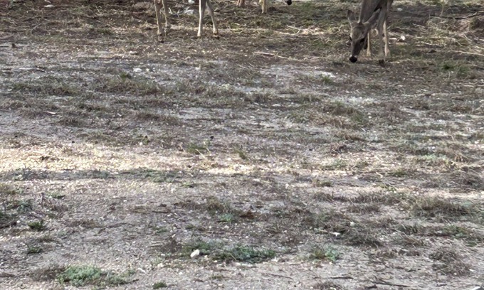 Medina Alquiler De RV | One RV spot with water and electricity. NO dump station. Beautiful Medina Tx