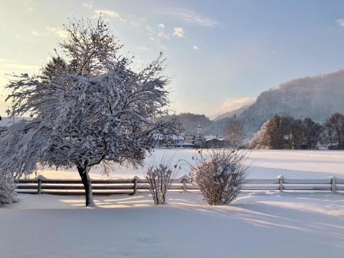 Oberaudorf Apartamento | Open Garden Mountain Lodge