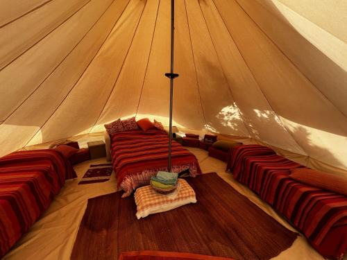 Quartu Sant'Elena Otro | Orange Tent - In Our Garden