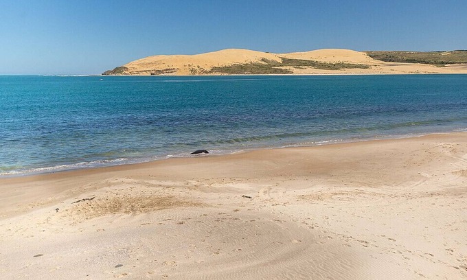 Omapere Casa | Orca Beach Watch