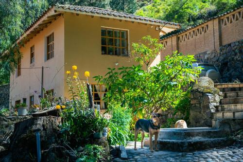 Ollantaytambo Apartamento | ORCCOCOCHA Apart Lodge-Fundo