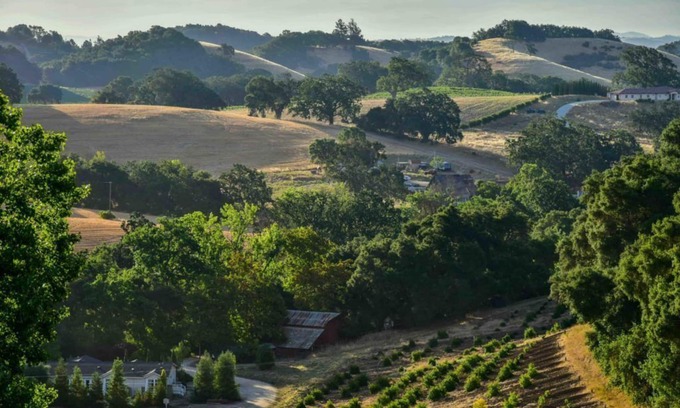 Paso Robles Casa | Orchard Hill Farm - Elegante confort en el deseable West Side Paso Robles