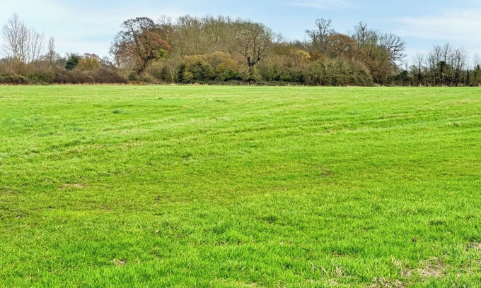 Rochford Cabaña | Orchard House - UK48580