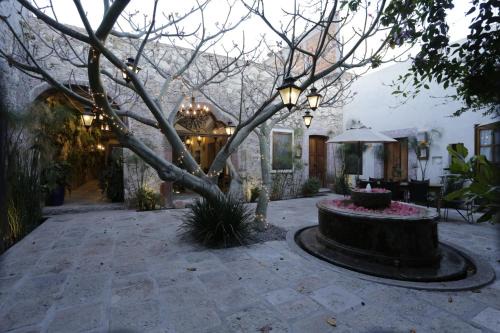 Zona Centro Hotel | Orchid House San Miguel de Allende