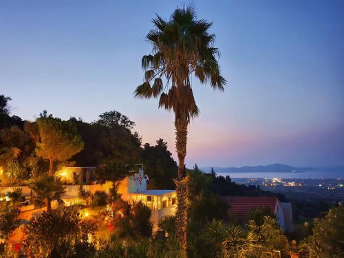 Lagoudi Zia Apartamento | Orea Ellas Kos - Apartments & Bistro-Café