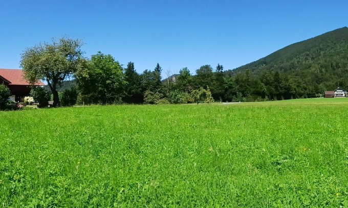 Faistenau Otro | Organic Farm Vordergschwandtgut - Apartamento