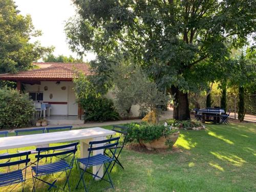 She'ar Yashuv Casa | Orhan Havaya