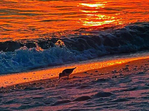 Panama City Beach Apartamento | Origin Unit 911