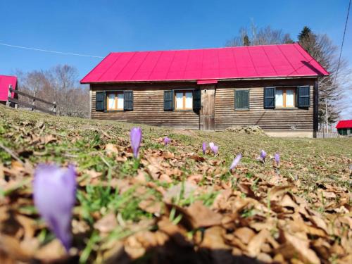 Zagarise Otro | Orme nel parco - Villaggio Grechi