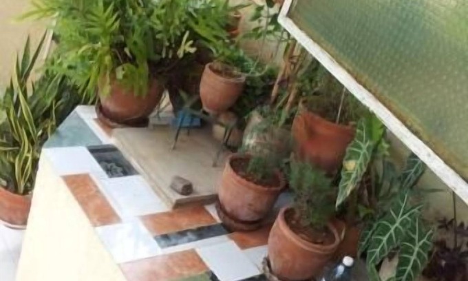 Plaza de la Revolucion Casa | Orquidea