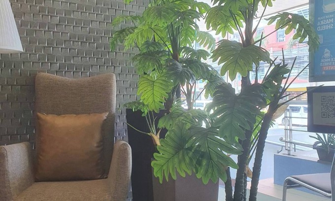 Kapitolyo Casa | Ortigas Budget Hotel