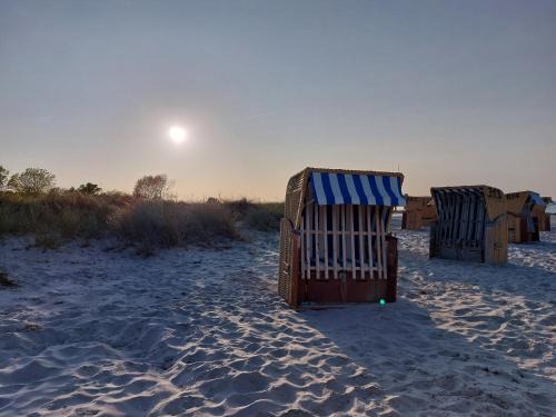 Fiefbergen Apartamento | Ostsee Ferienwohnung in Schönberg inklusive 2 Leihfahrräder Self-Check-in