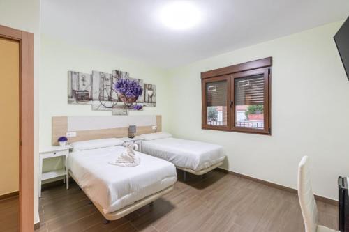 Alovera Casa | Otero & Elma 2