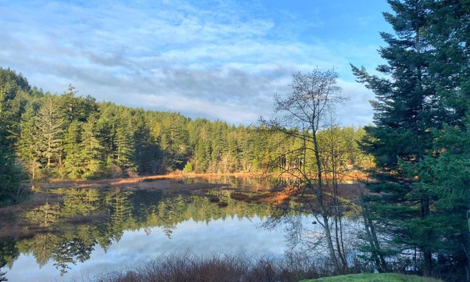 Rosario Cama Y Desayuno | Otter's Pond Bed and Breakfast