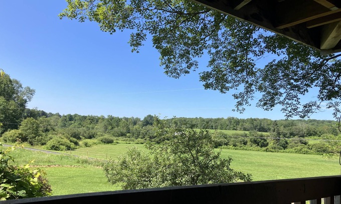 Cooperstown Cabina | Our Ctown property,lite cooking,1 bedroom slp3Cabin WiFi~AC&fishing in our pond!