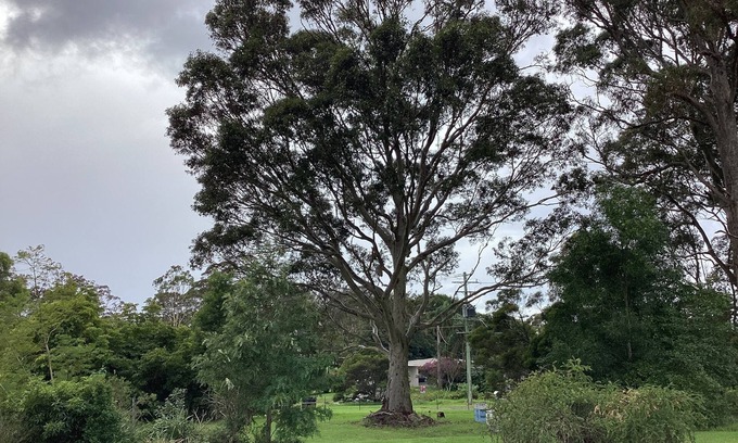 Kianga Apartamento | Our Narooma Honeyhouse just minutes away from beaches, boating and bike trails