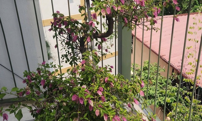 Trang Tien Apartamento | OUTSTANDING Residence near FrenchQuarter