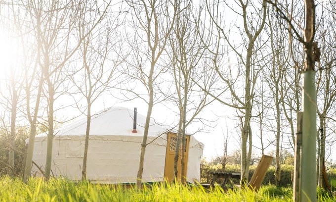 Winsley Cabina | Yertis - The Farm Camp