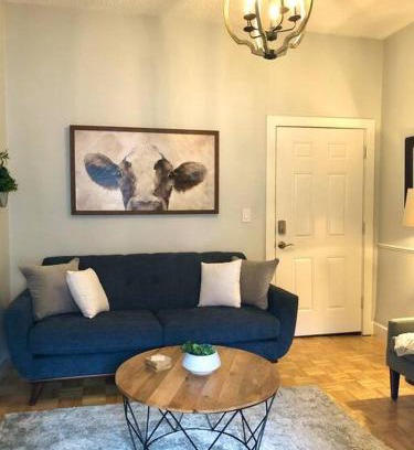 Downtown Dunedin Apartamento | Overlooking Downtown Dunedin Two Bedroom apartment NO KIDS, NO PETS