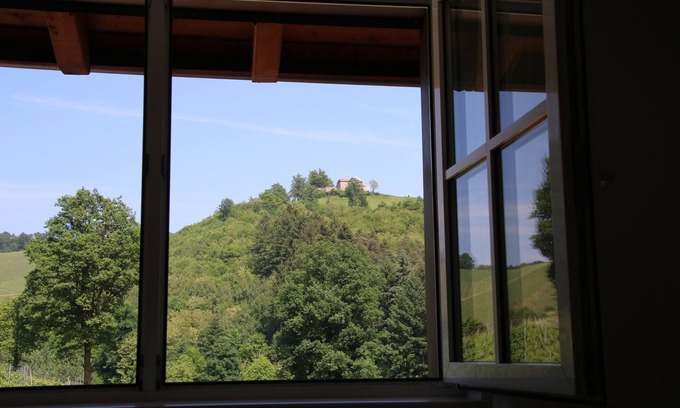 Durbach Apartamento | Noche en la bodega Neveu - Schlossblick