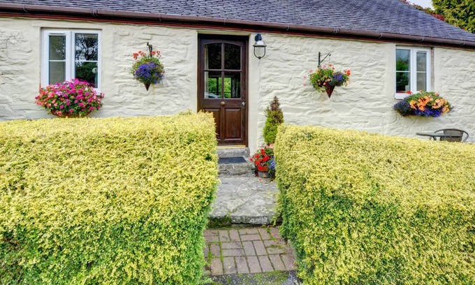 Llanerchymedd Casa | Owl Cottage es una de las cinco casas de campo con cocina, que se encuentra en el hermoso e idílico paisaje ne