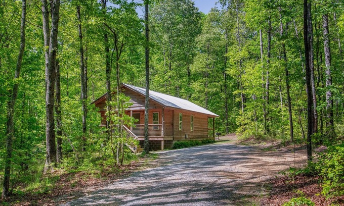 Fort Payne Cabina | Owl's Nest: cozy getaway w/hot tub & fire pit