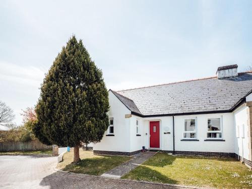 Lydstep Casa | Oyster Catchers - Uk6730