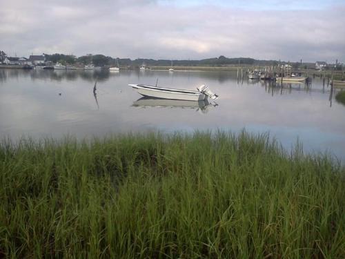 Cape Charles Casa | Oyster Cottage in Historic Fishing Village cottage