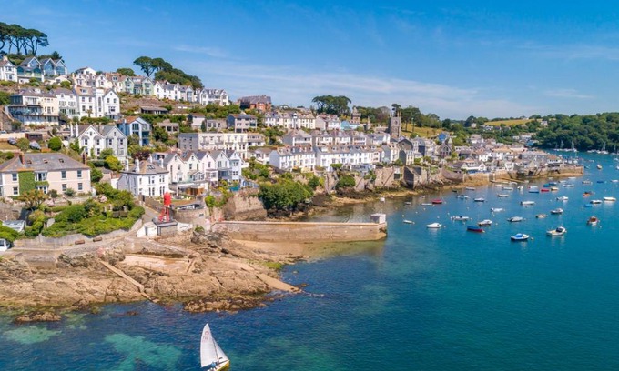 Fowey Casa | Oystercatcher
