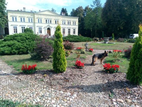 Kwilcz Complejo | Pałac Kwilecki -AGROTURYSTYKA PREMIUM & SPA