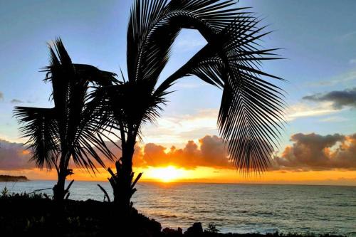 Kehena Apartamento | Pahoa Paradise Palms