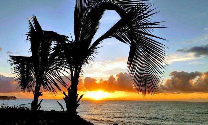 Kehena Apartamento | Pahoa Tropical Garden Getaway