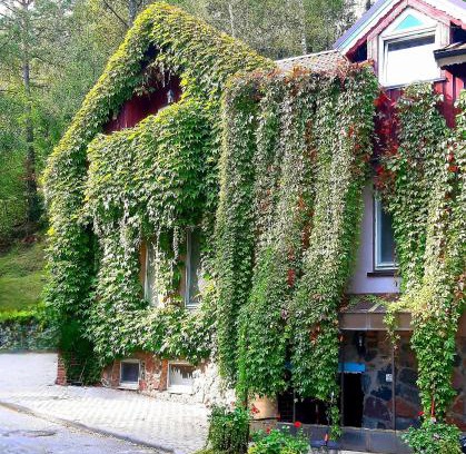 Juodkrante Apartamento | Pajūrio namai
