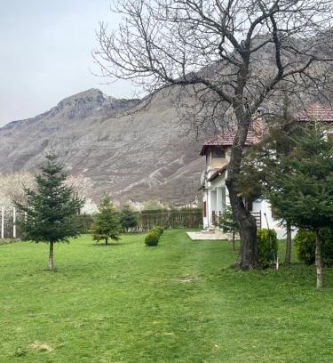 Boge Casa | Paja Guesthouse - Camping