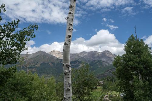 Mountain Village Villa | Palisade at Pine Meadows by Exceptional Stays