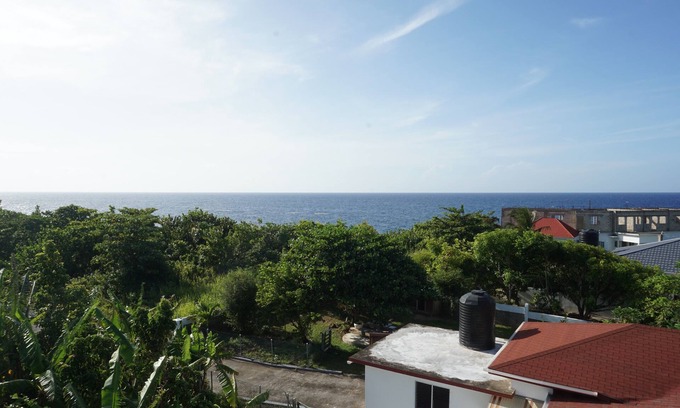 Galina Casa | Palm palace at Rockville