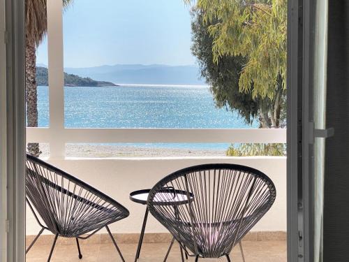 Kilada Apartamento | Palm Suite Blue