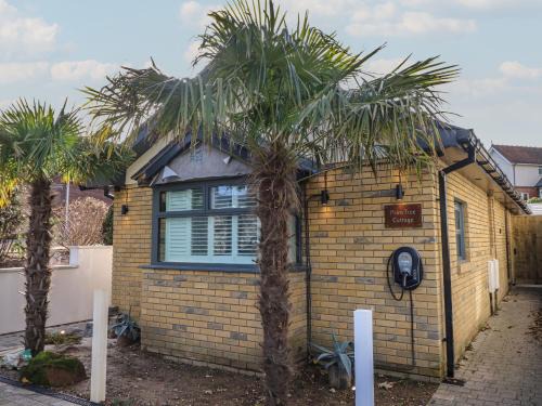 Sandown Casa | Palm Tree Cottage