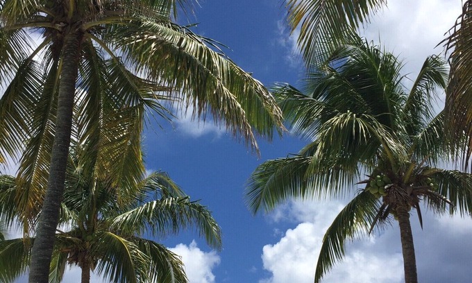 Estate Salt River Condominio | Palms and Breezes
