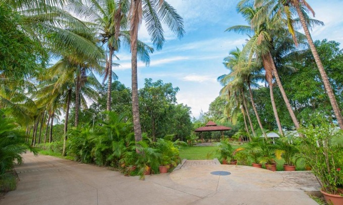 Paud Complejo | Palmwoods Retreat