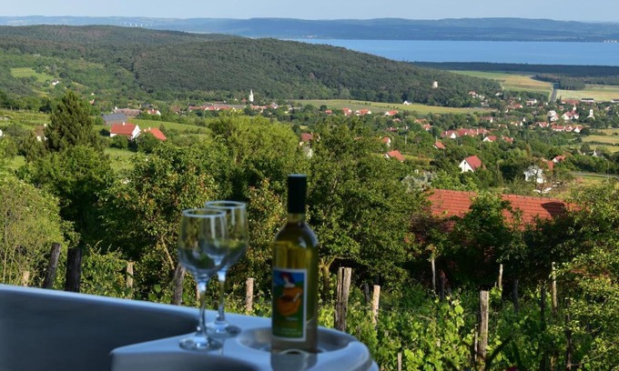 Mencshely Apartamento | Panoráma Borbirtok
