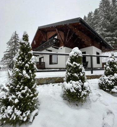 Slavske Chalet De Esquí | Panorama