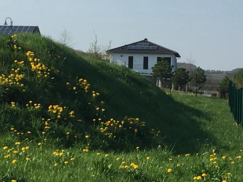 Adenau Apartamento | Panoramablick