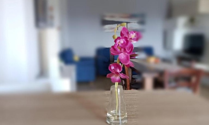 Buon Pastore-Sant'Agnese-San Damaso Apartamento | Panoramapointbnb
