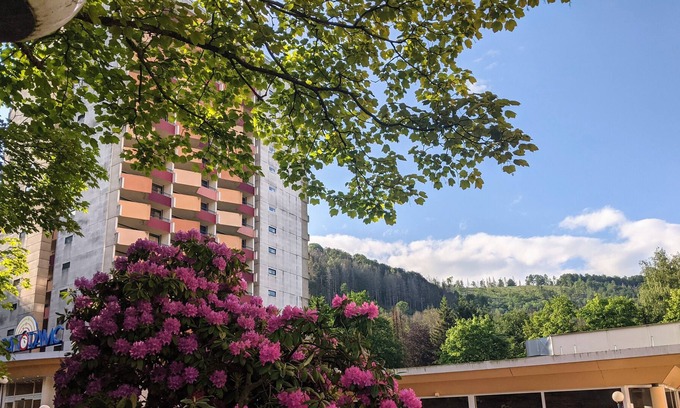 Dietrichstal Apartamento | Panoramic - Ihr Apartmenthotel im Harz