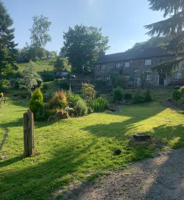 Llanfyllin Casa | Pant-y-creolen